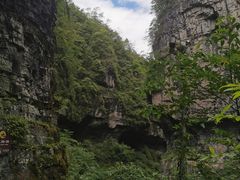 -鹿院坪生态旅游景区