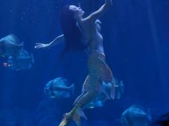 -华夏文旅西安度假区