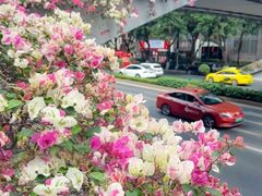 -东风公园