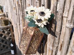 -小草屋轰趴馆别墅派对新场团建家庭聚会