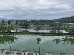 -东方巨龟苑景区