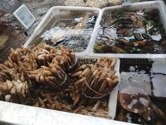-盒马鲜生(大成店)