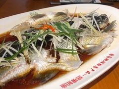 翘嘴鲌鱼-丹江渔村(望京店)