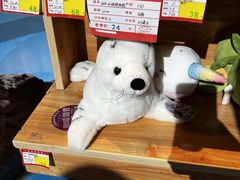 -鄂尔多斯野生动物园