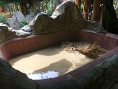 -加林娜泥浴水疗