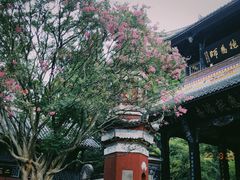 -都江堰景区