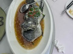 -骏莱海鲜鱼港(五角场店)