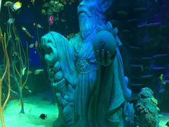 -沈阳海洋探索中心