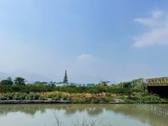 -三垟湿地