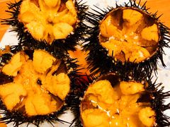 -海胆小馆(东北水饺·春柳店)