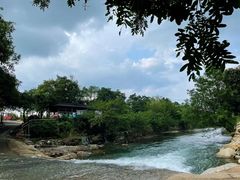 -Cafe In Little Forest