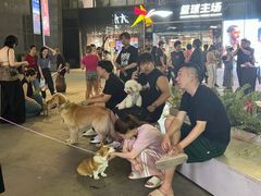 -大悦城(沈阳中街店)