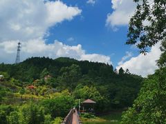 -广州白江湖森林公园
