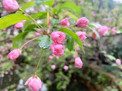 -成都杜甫草堂博物馆