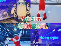 -Hopo Snow 城市滑雪空间(来福士广场购物中心店)