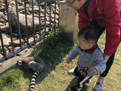 -无锡动物园·太湖欢乐园