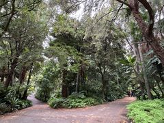 -墨尔本皇家植物园