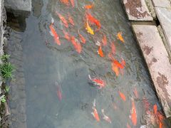 -前童古镇