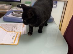 -宠福鑫康馨动物医院·骨科·眼科