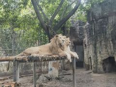 -成都动物园