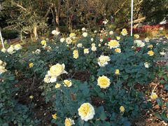 -人民公园(罗湖区)