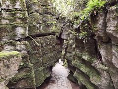 -梭布垭石林景区