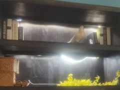 -江南韵·无锡太湖文化体验餐厅(凤凰天街店)