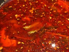 -小饕荟雅安贡椒鱼鲜馆(广福桥店)