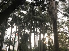 -厦门大学(思明校区)