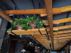 -巢爷老味(东方红店)