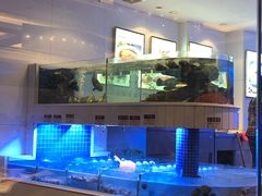 水产区-金苑海鲜酒家(来魅力店)