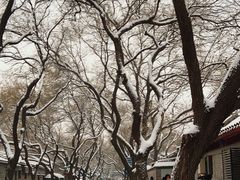 -北京国子监胡同