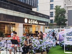 -HALO广场(梨园路店)
