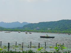 -湖畔居茶楼(湖滨店)