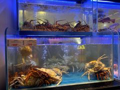 -南海渔村(珠江新城店)