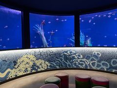 -沈阳海洋探索中心