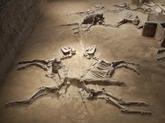 -洛阳周王城天子驾六博物馆