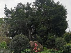 -乌山风景区