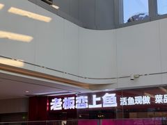 -老板恋上鱼(恒隆广场店)
