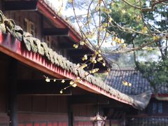 -峨眉山报国寺