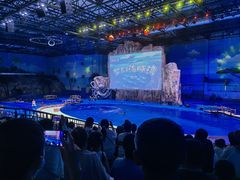 -华夏文旅海洋公园