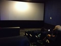 -幸福蓝海国际影城(上海三林店)
