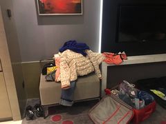 -南京禄口机场雅高铂尔曼大酒店