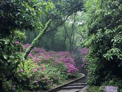 -南山风景名胜区