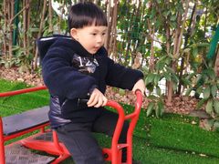 -玛利娅蒙特梭利双语幼儿园·托育(百家湖直营园)
