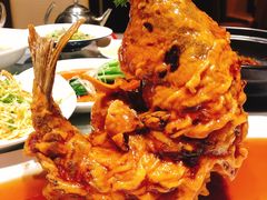 糖醋鲤鱼-城南往事·鲁菜济南菜(软件园美莲广场店)