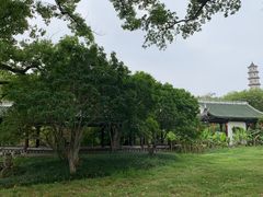 -江心屿景区
