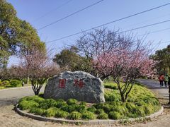 -上海海湾国家森林公园