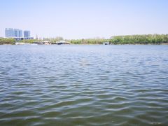 -大兴滨河森林公园