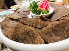 精品毛肚-京馆涮(惠济万达店)